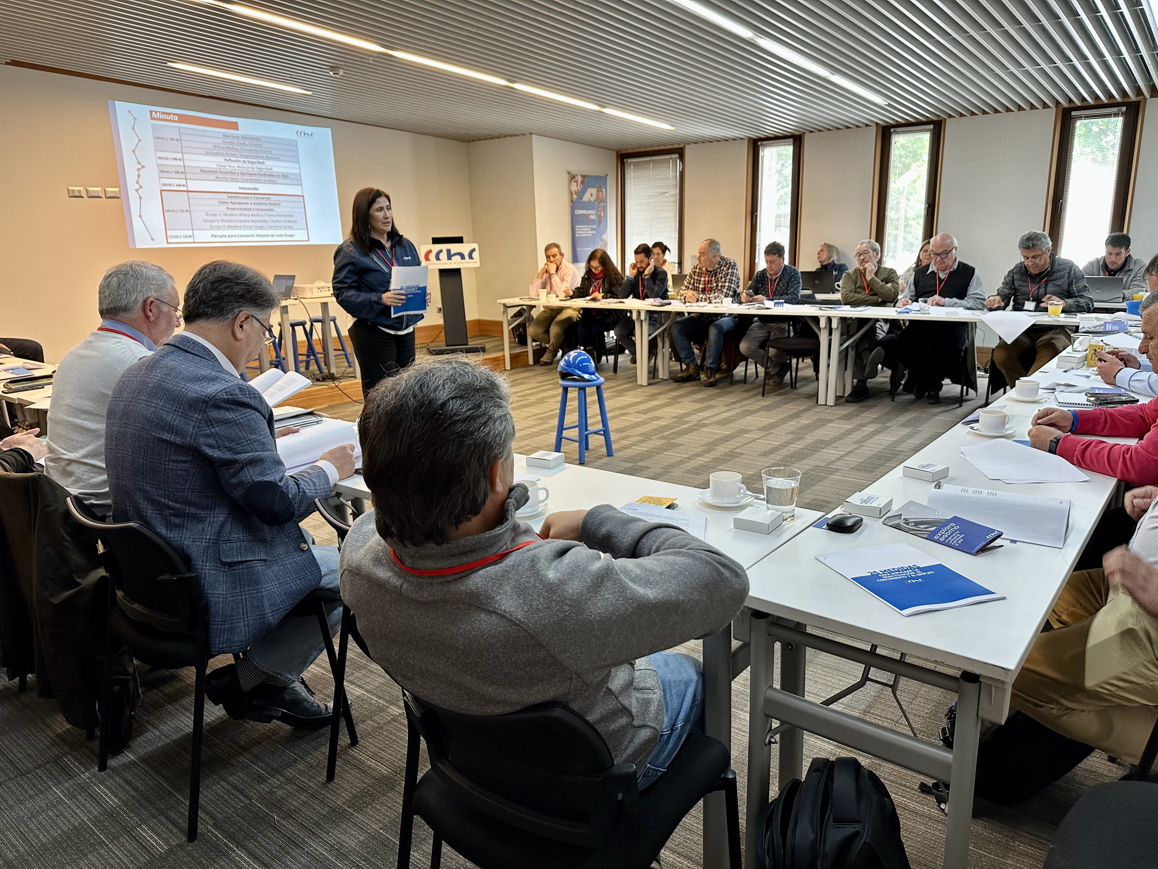 Consejo Nacional de la Zona Sur Austral reunido en Osorno

