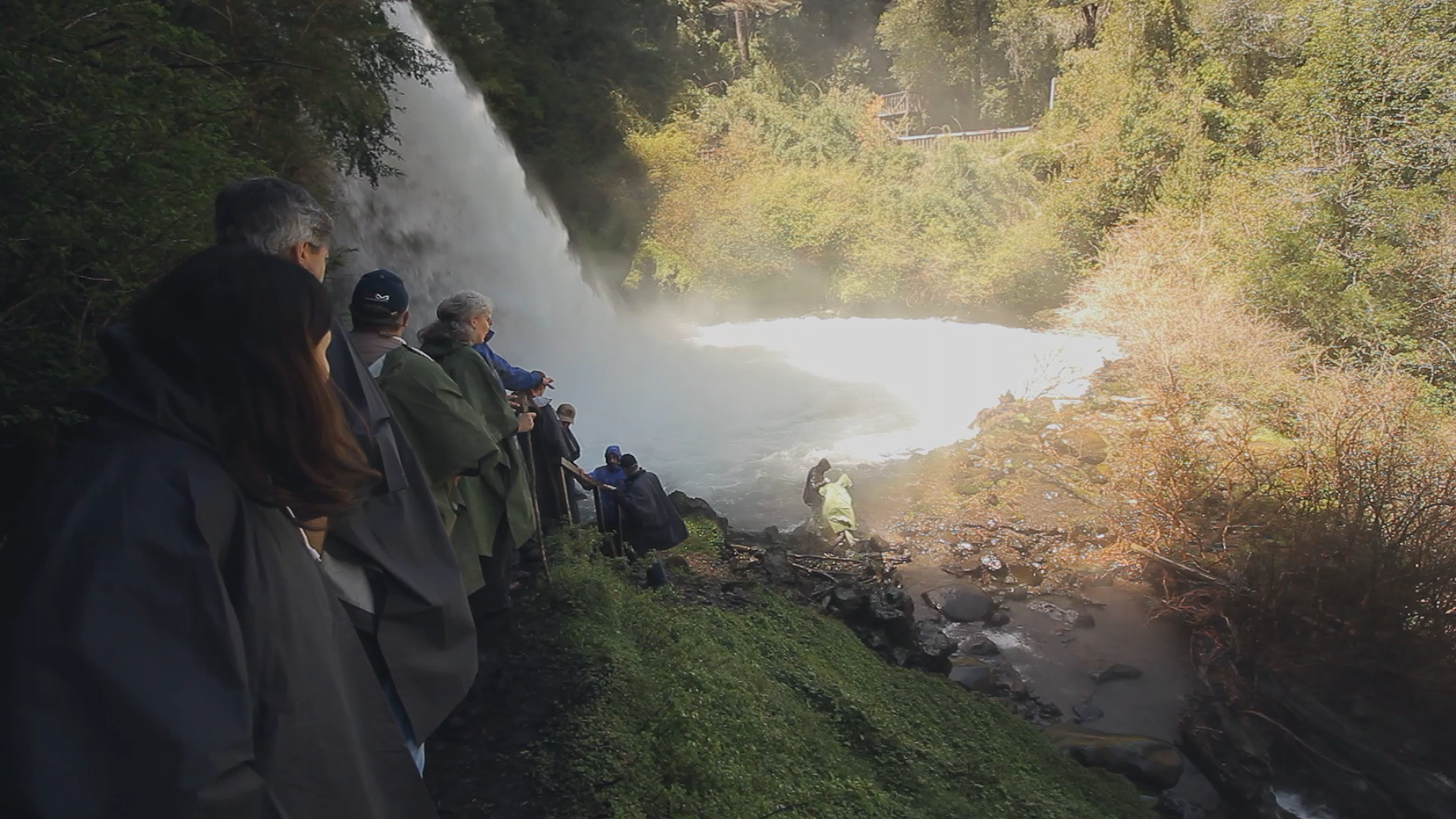 MundoSocios Araucanía organizó “Escapada Verde” al Parque Natural Vórtice en la Reserva Nacional Malalcahuello

