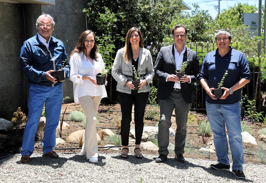 CChC Valparaíso inaugura su nuevo jardín sustentable de bajo consumo hídrico