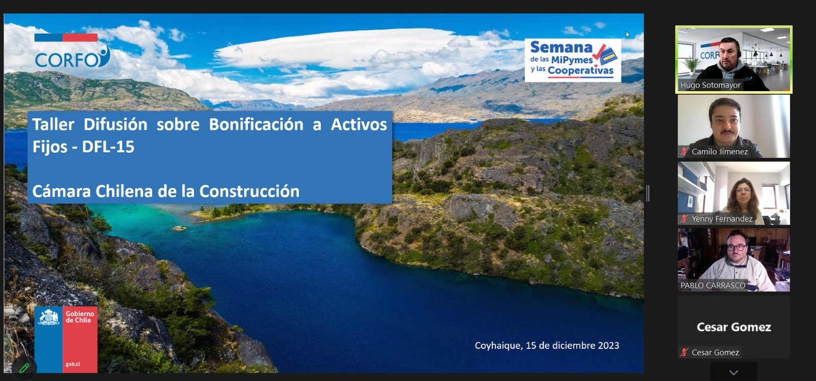 Afiche del Taller de Difusión sobre Bonificación a Activos Fijos DFL-15 y asistentes al webinar