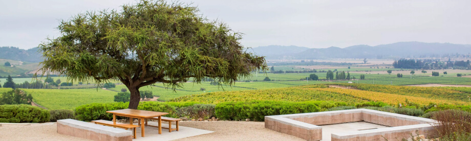 Viña Casas del Bosque