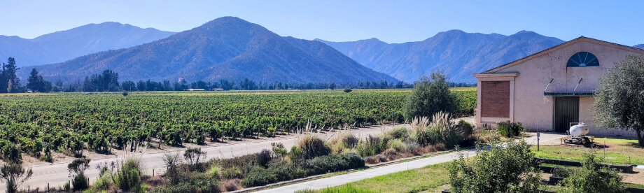 Viñas cerca de Santiago de Chile