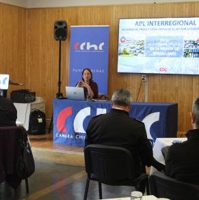 Propuesta_APL_CChC_Punta_Arenas_18_01_2023_(1).JPG