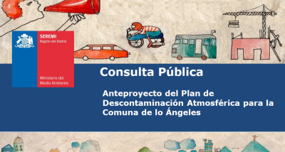 consulta_publica_pda.png